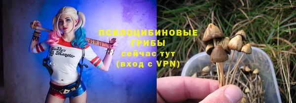 гашиш Новодвинск