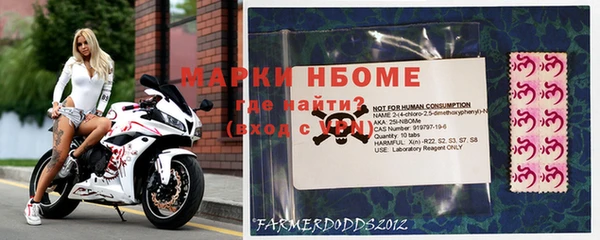 твердый Новокубанск
