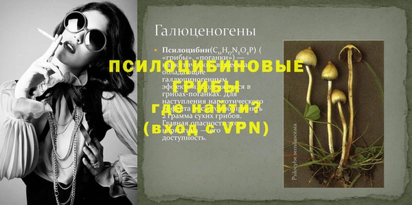 твердый Новокубанск