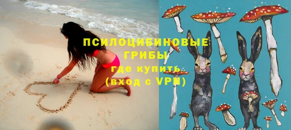 хмурый Видное