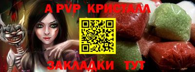 спайс Гай