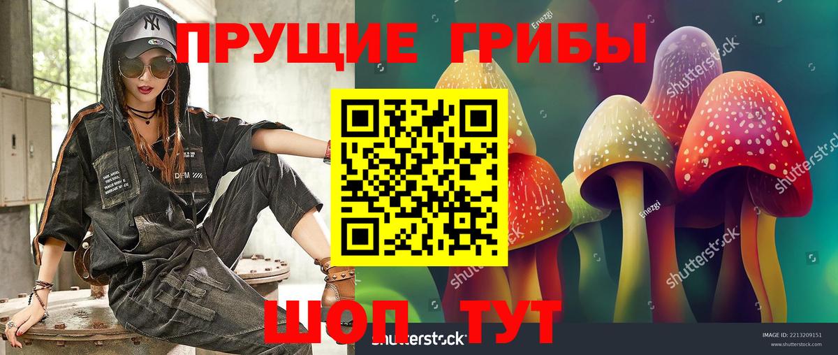 Уфа  Псилоцибиновые грибы мухоморы  Галлюциногенные грибы MAGIC MUSHROOMS  Вход с VPN 
